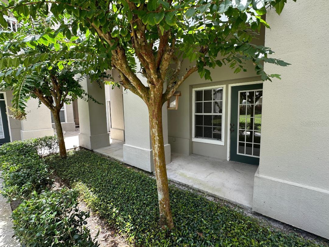 667 CELEBRATION AVE, CELEBRATION, FL, 34747