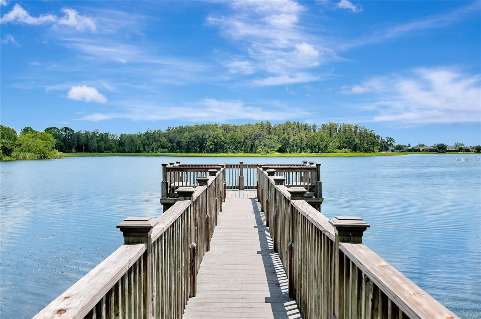 8233 WESTCOTT SHORE DR, ORLANDO, FL, 32829