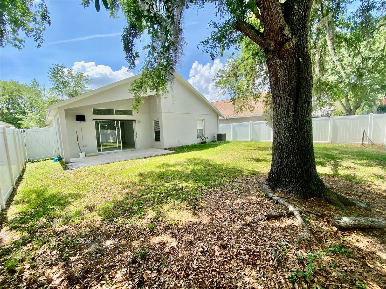 8233 WESTCOTT SHORE DR, ORLANDO, FL, 32829