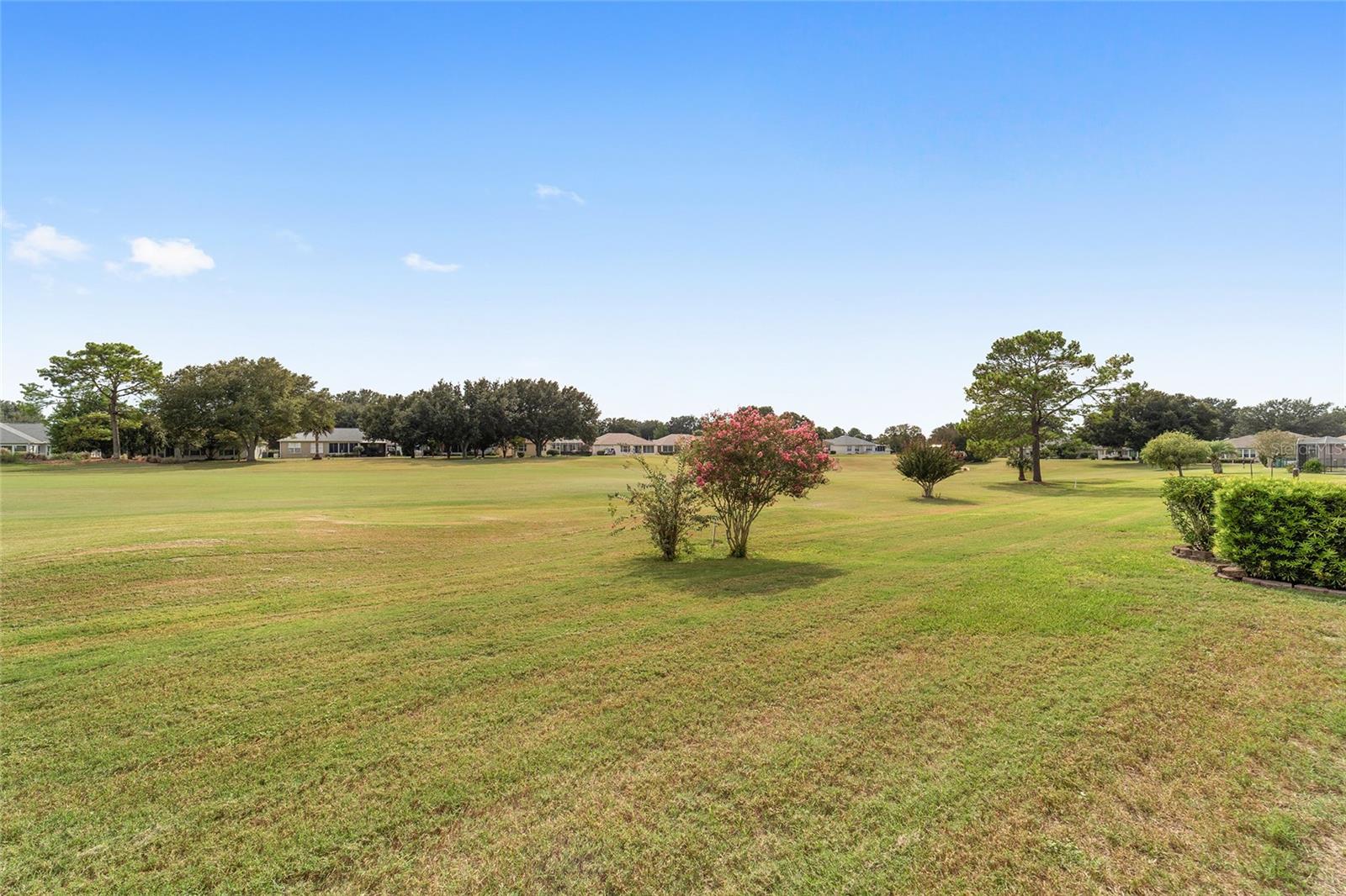 9566 SW 90TH ST, OCALA, FL, 34481