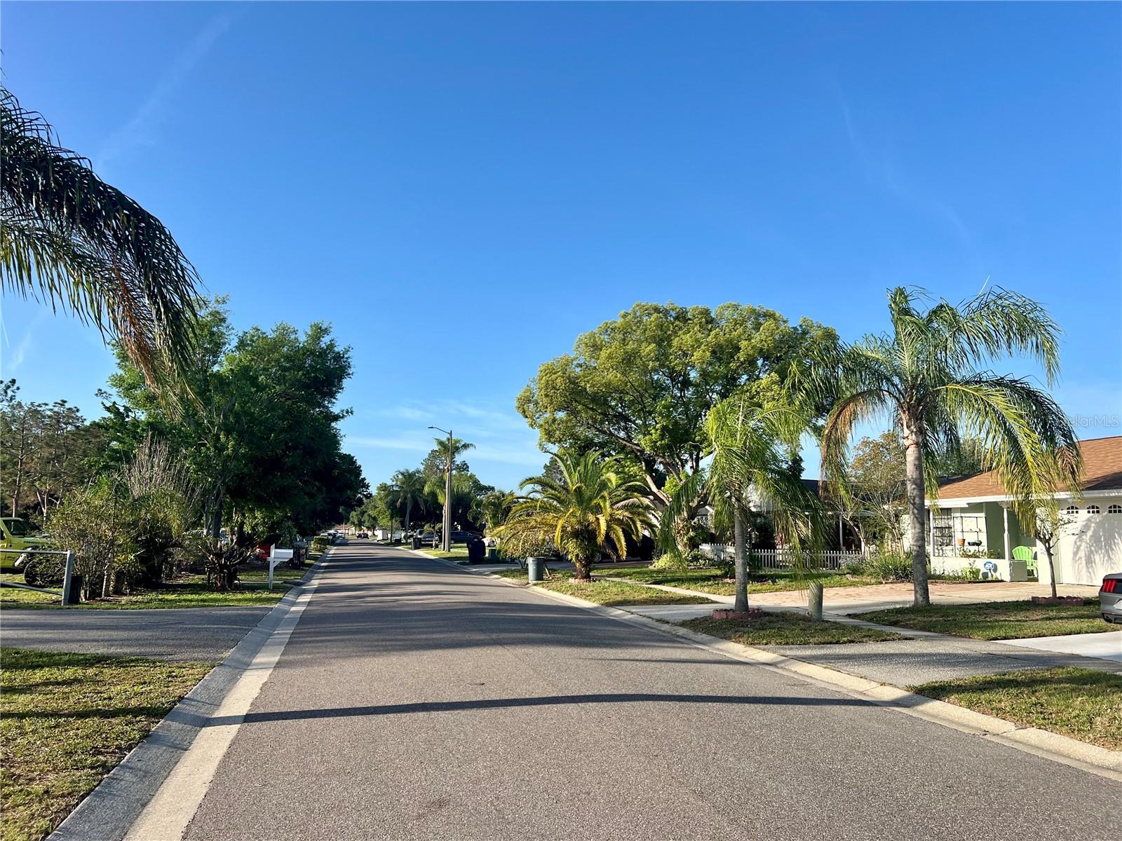 7371 MONTEREY BLVD, TAMPA, FL, 33625
