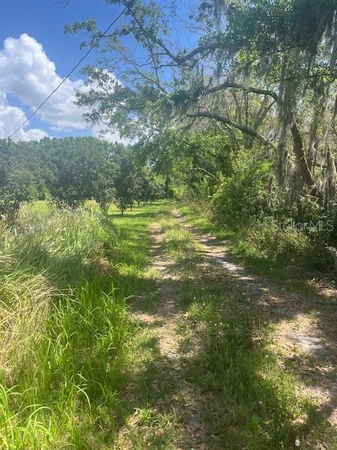 0 PLEASANT HILL RANCH RD, KISSIMMEE, FL, 34746
