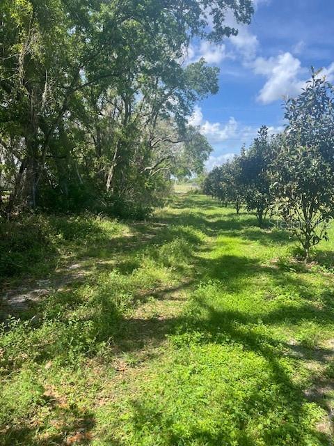 0 PLEASANT HILL RANCH RD, KISSIMMEE, FL, 34746