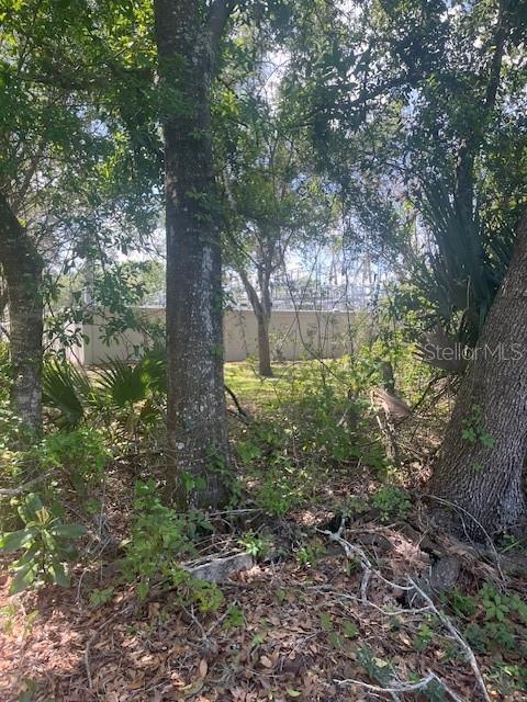 0 PLEASANT HILL RANCH RD, KISSIMMEE, FL, 34746