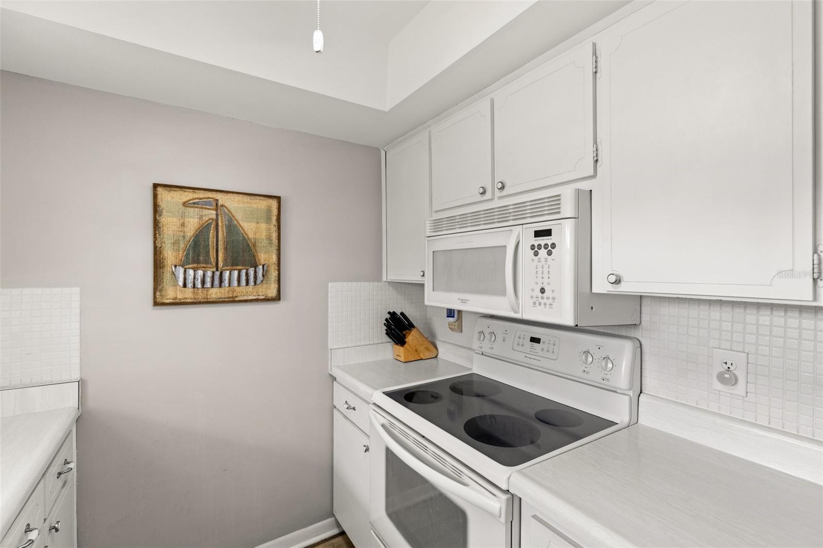 1701 PINEHURST RD #31D, DUNEDIN, FL, 34698