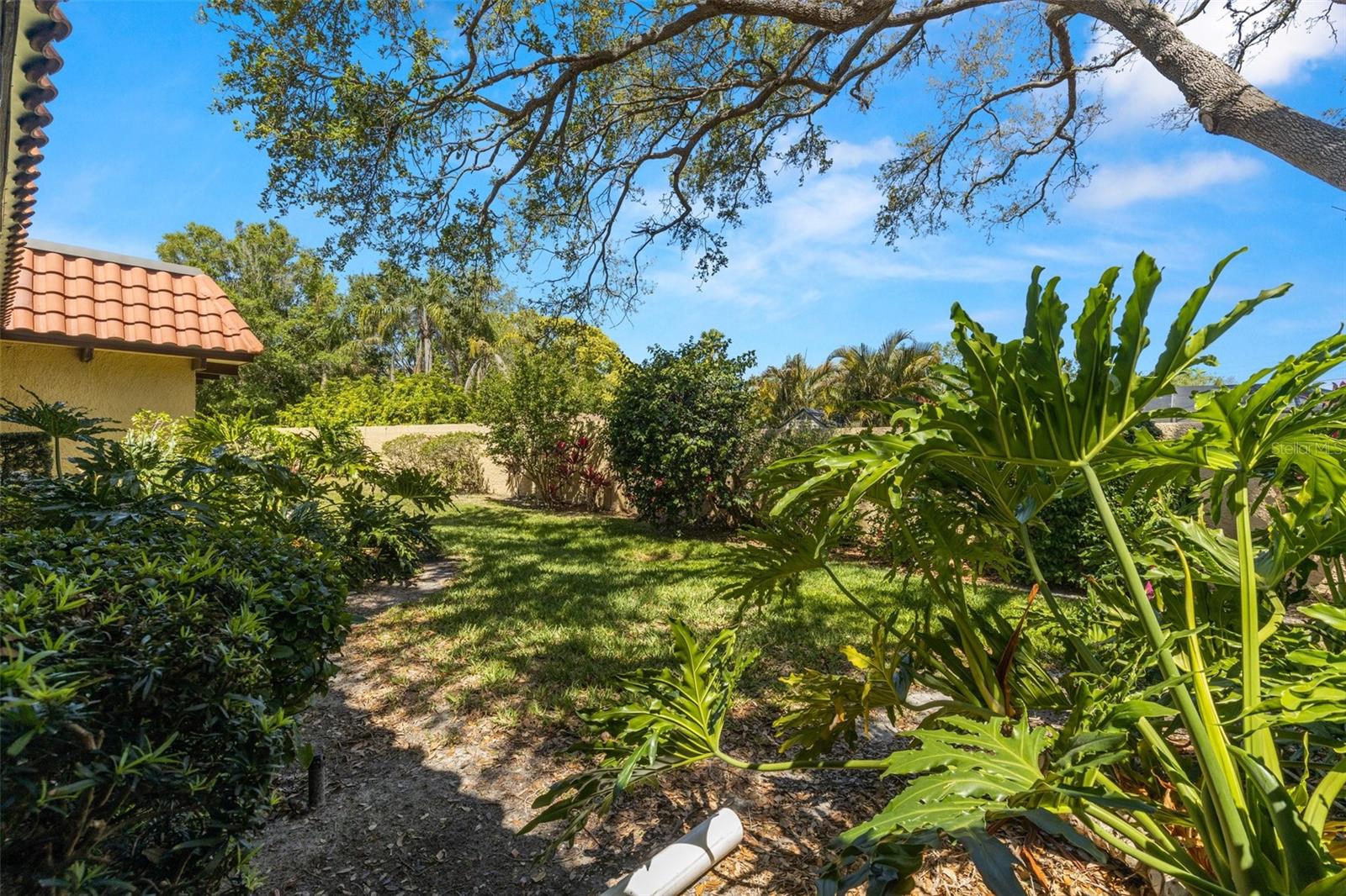 1701 PINEHURST RD #31D, DUNEDIN, FL, 34698
