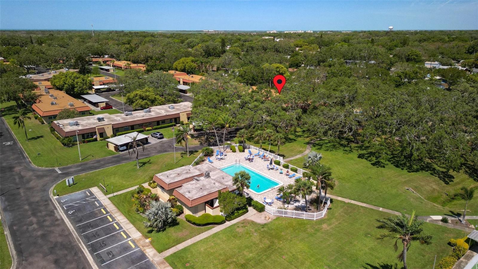 1701 PINEHURST RD #31D, DUNEDIN, FL, 34698