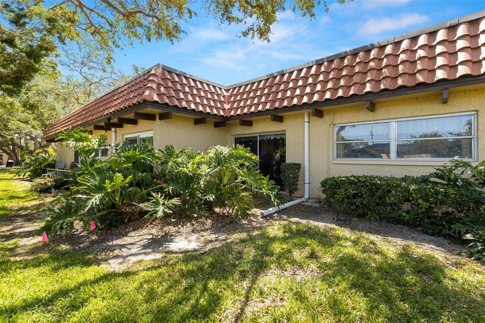 1701 PINEHURST RD #31D, DUNEDIN, FL, 34698
