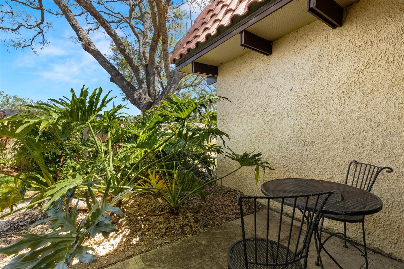 1701 PINEHURST RD #31D, DUNEDIN, FL, 34698