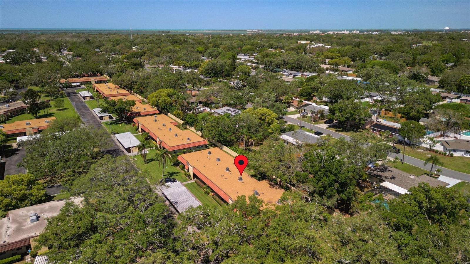 1701 PINEHURST RD #31D, DUNEDIN, FL, 34698