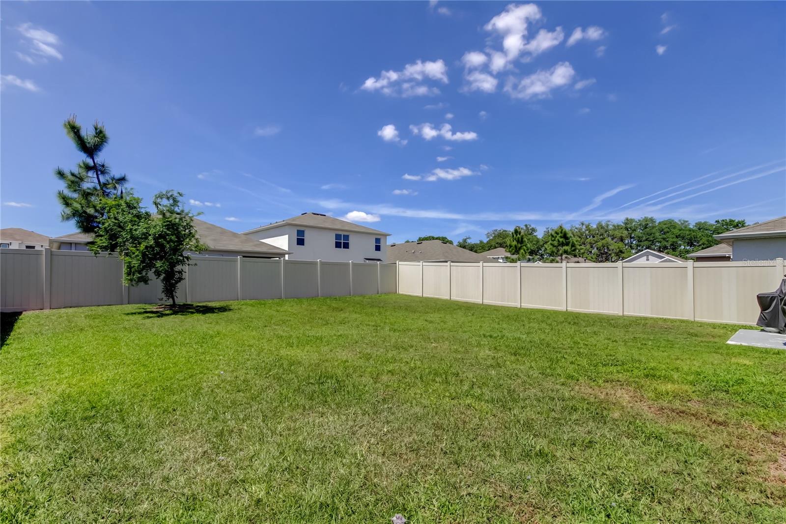 2933 MAIDEN GRASS ISLE, WESLEY CHAPEL, FL, 33543