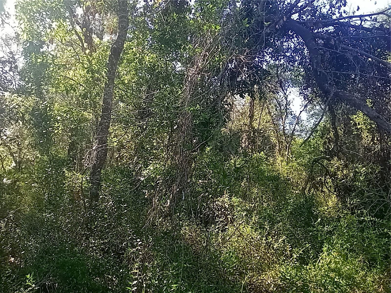 MECCA ROCK RD, WEBSTER, FL, 33597