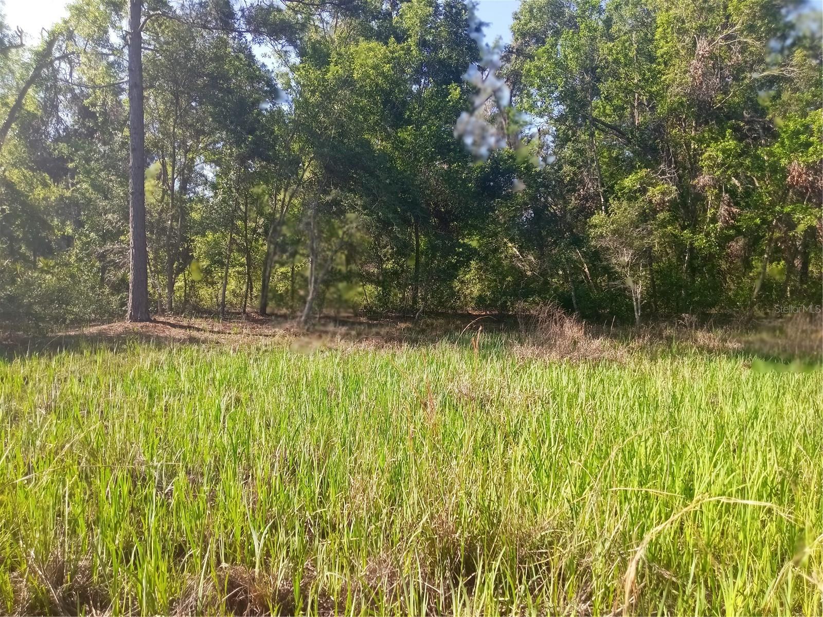 MECCA ROCK RD, WEBSTER, FL, 33597