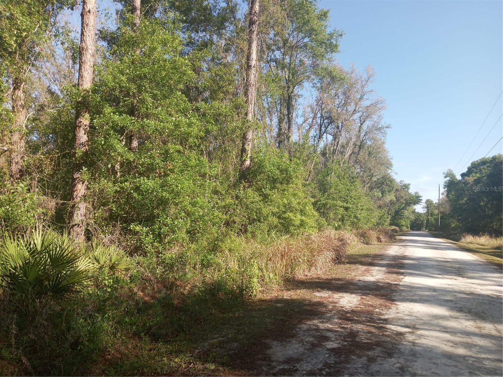 MECCA ROCK RD, WEBSTER, FL, 33597