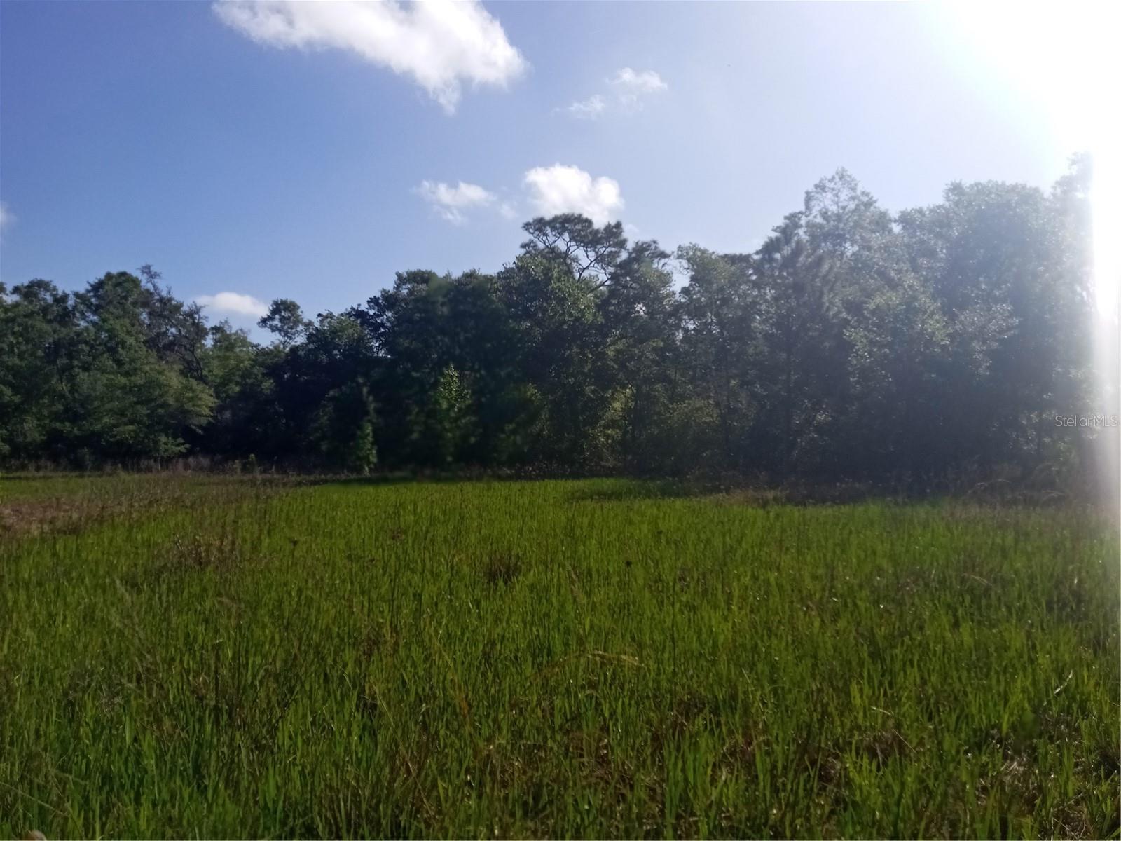 MECCA ROCK RD, WEBSTER, FL, 33597