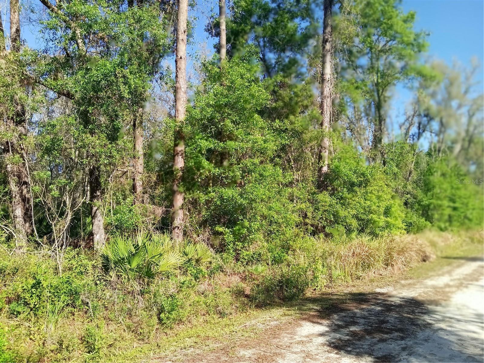 MECCA ROCK RD, WEBSTER, FL, 33597