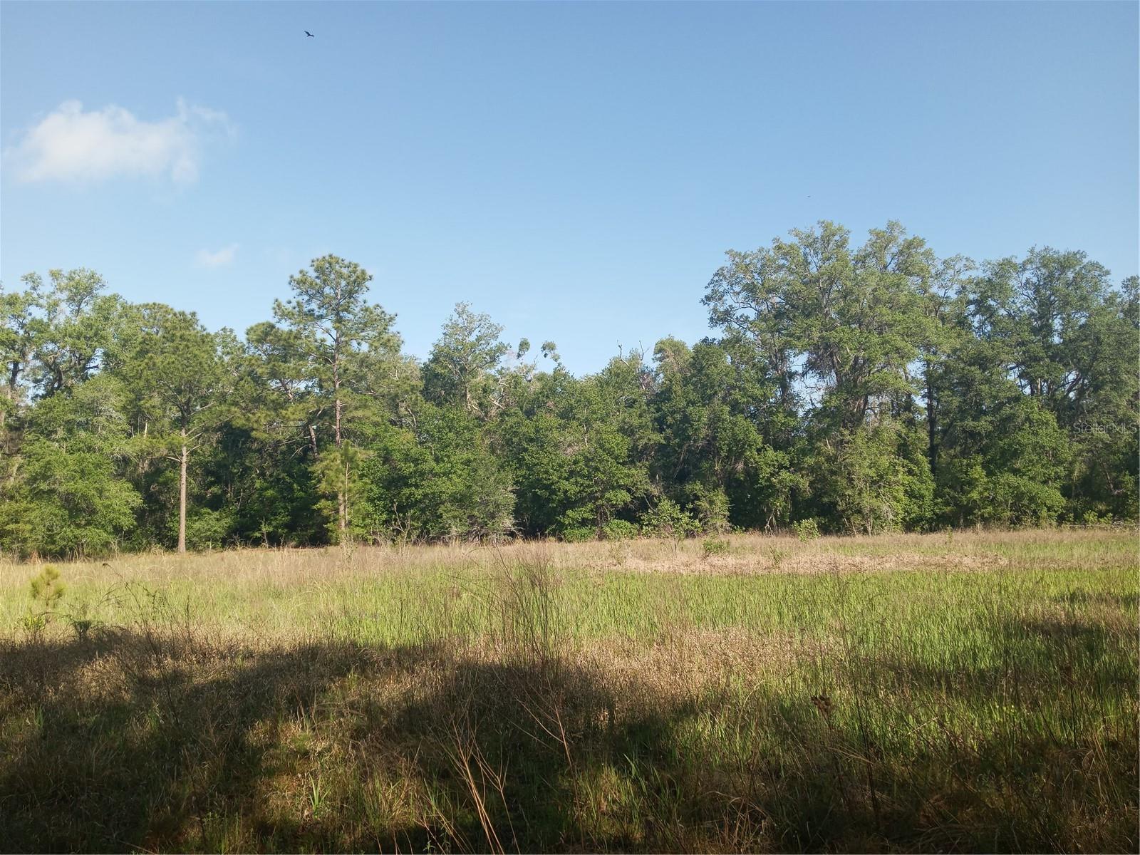 MECCA ROCK RD, WEBSTER, FL, 33597