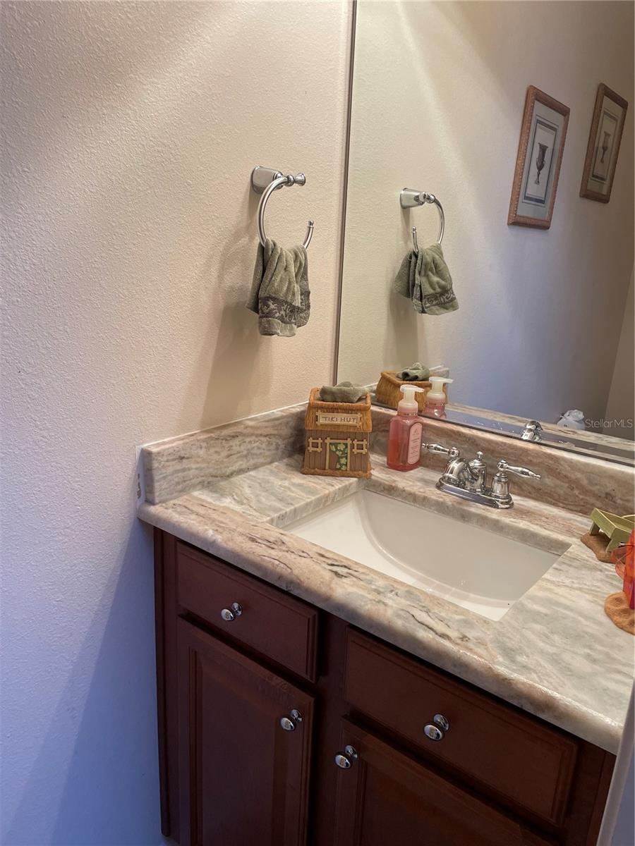 14809 NINEBARK CT, LAND O LAKES, FL, 34638