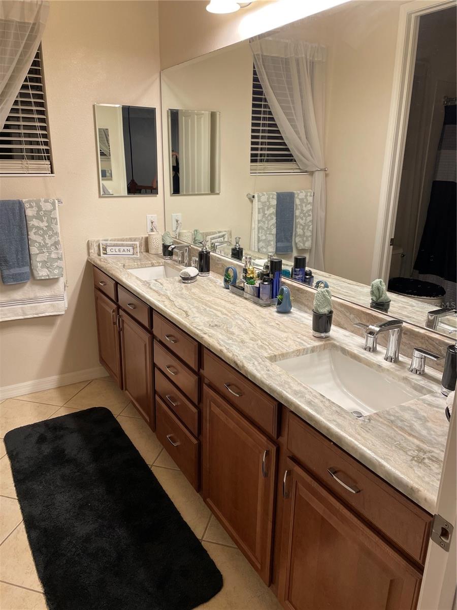 14809 NINEBARK CT, LAND O LAKES, FL, 34638