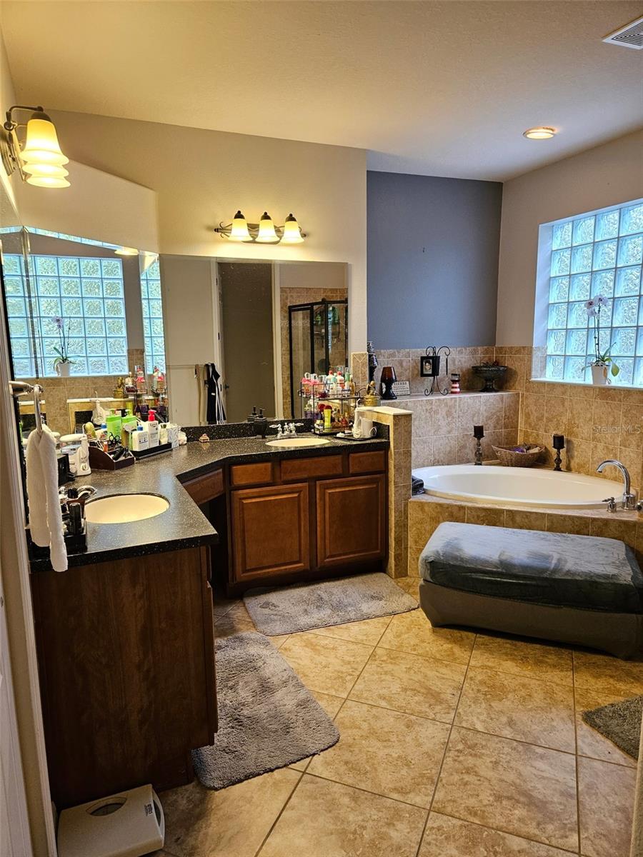 14809 NINEBARK CT, LAND O LAKES, FL, 34638