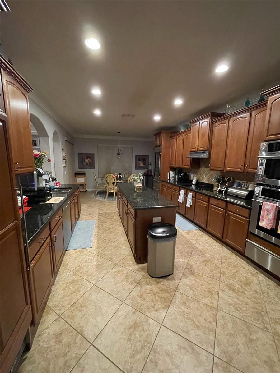 14809 NINEBARK CT, LAND O LAKES, FL, 34638