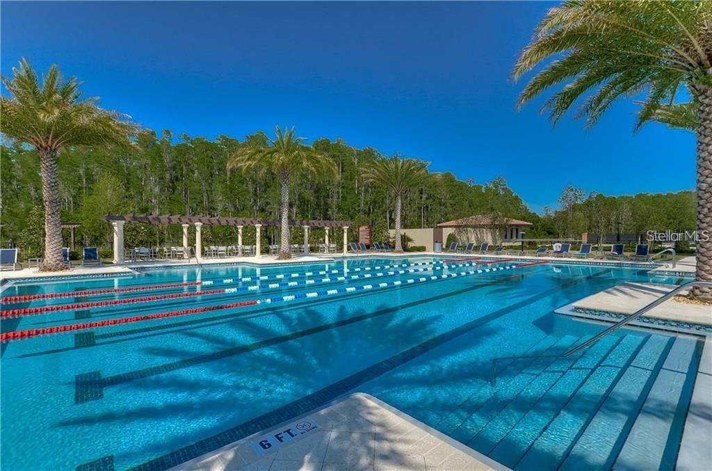 28895 PERILLI PL, WESLEY CHAPEL, FL, 33543