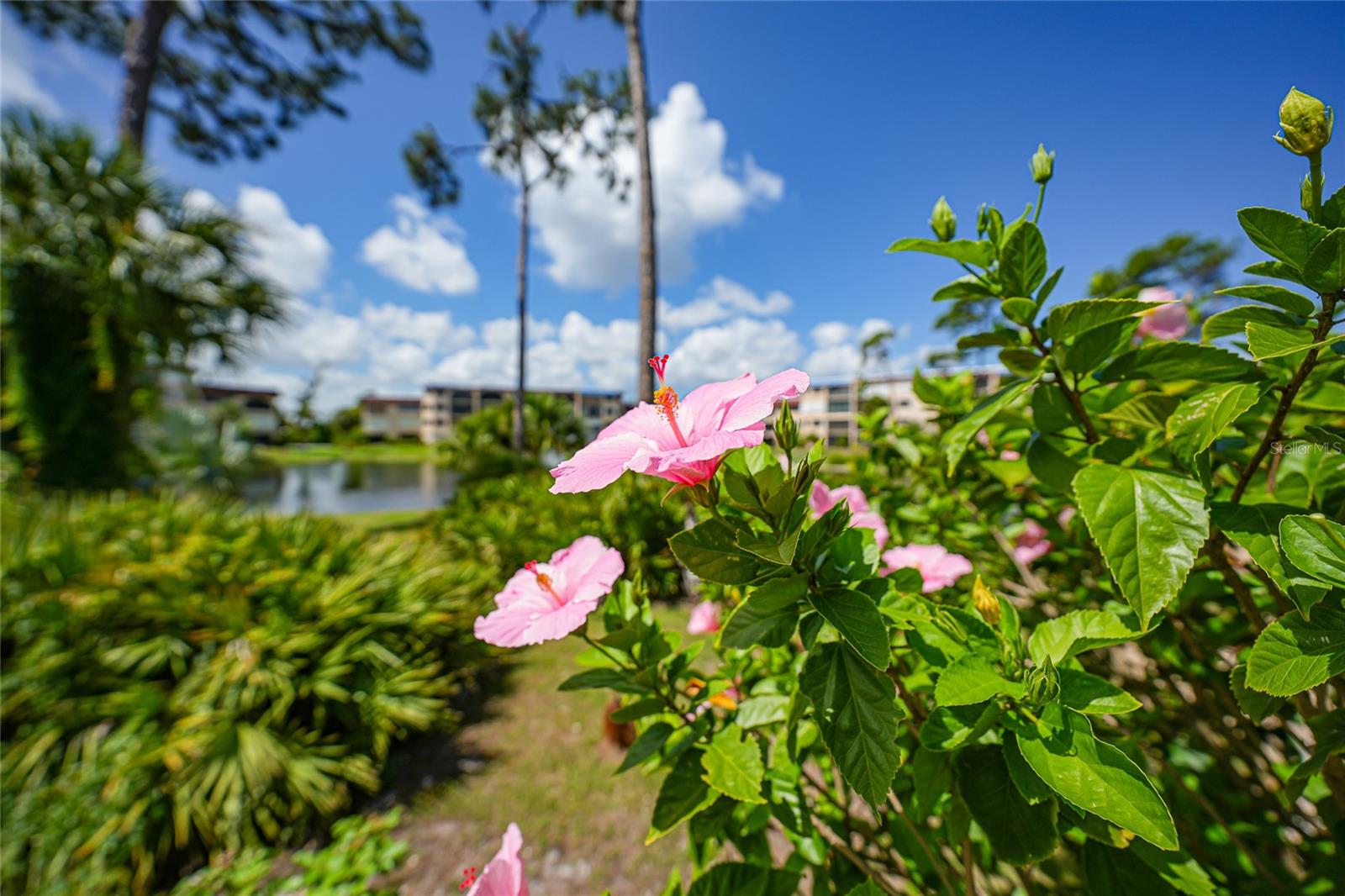 23465 HARBORVIEW RD #925, PUNTA GORDA, FL, 33980