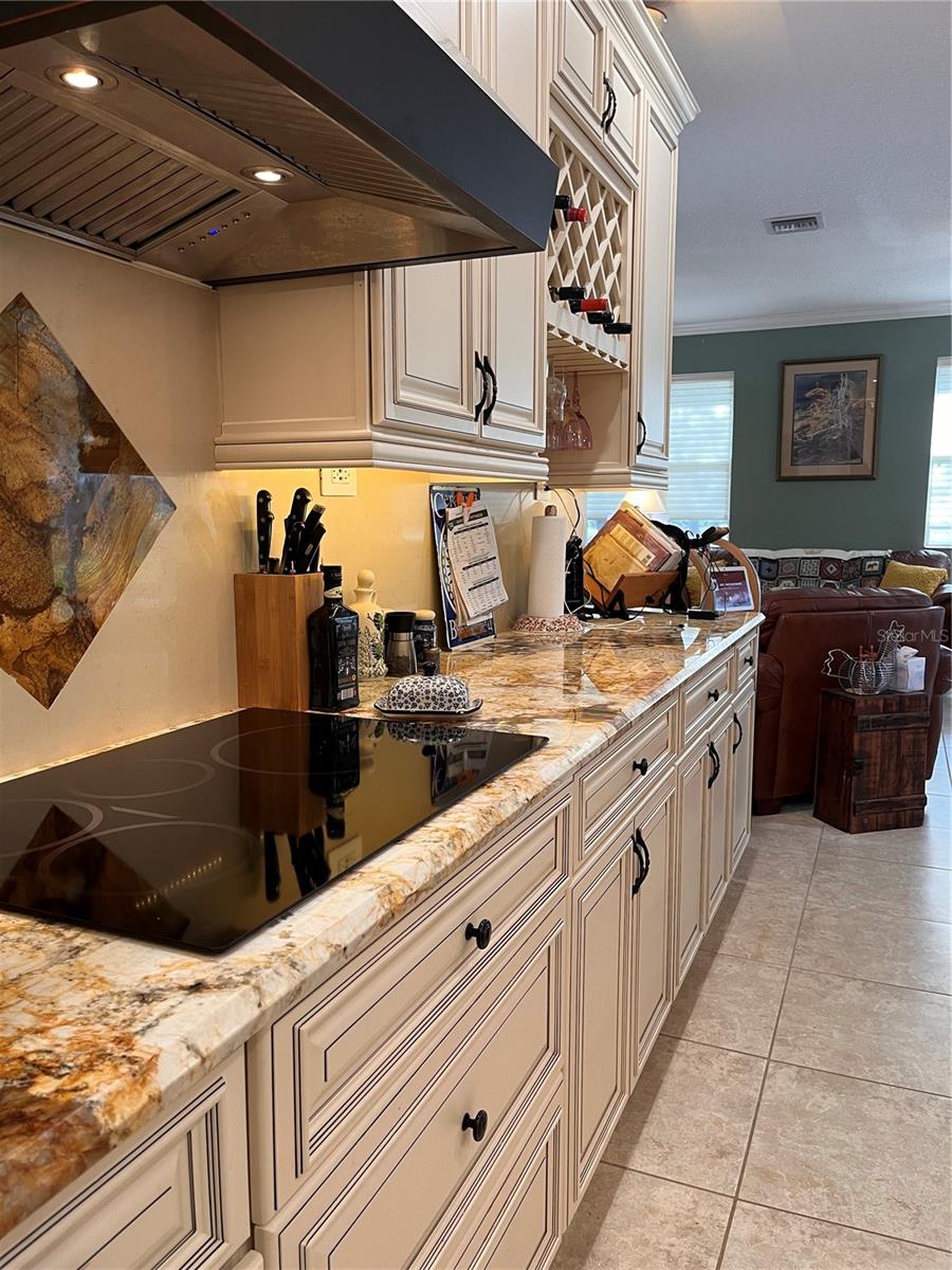 9071 SW 99TH COURT RD, OCALA, FL, 34481