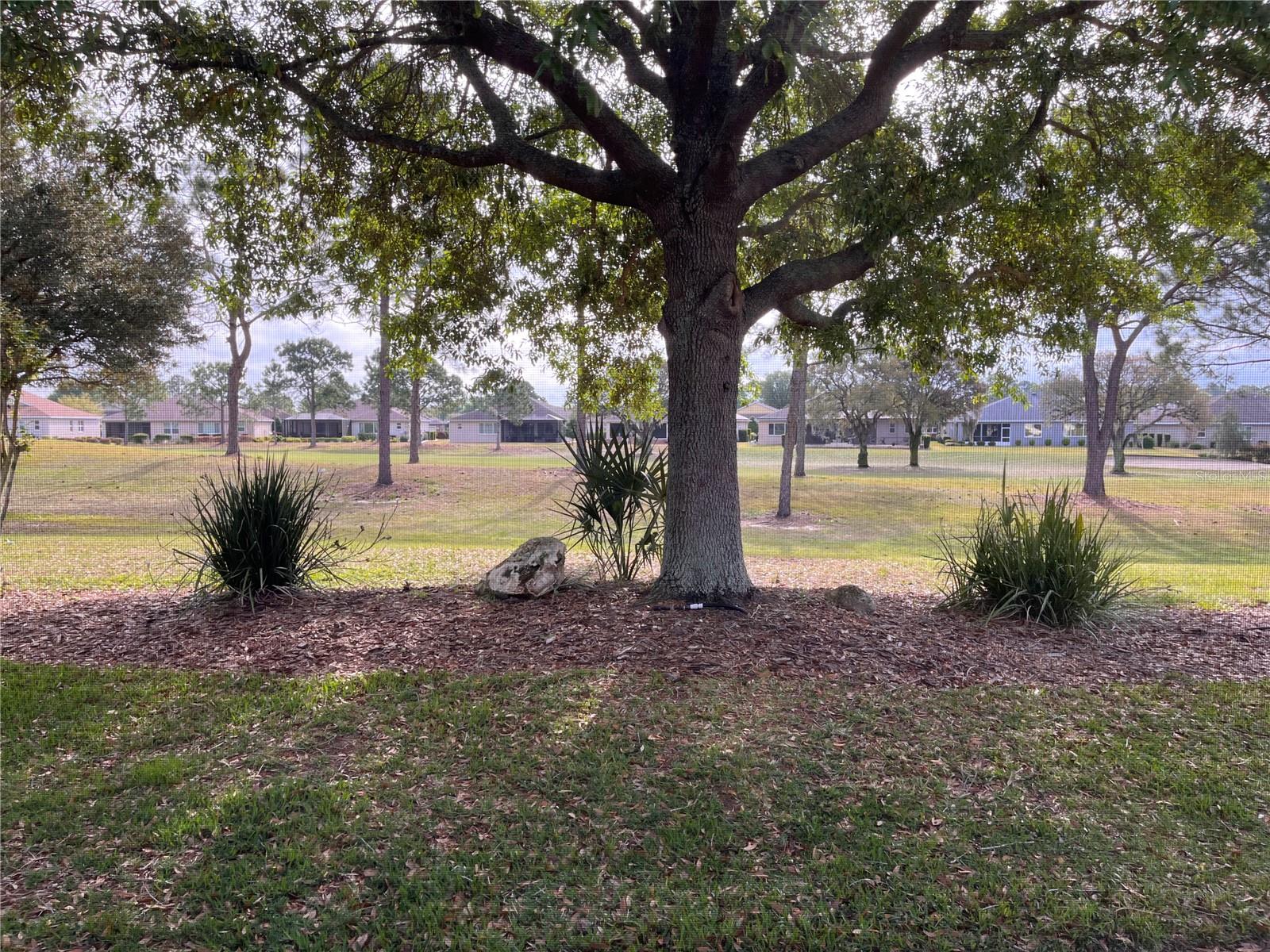 9071 SW 99TH COURT RD, OCALA, FL, 34481