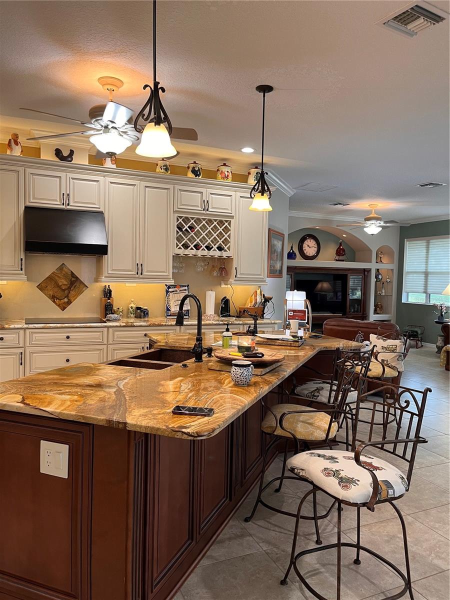 9071 SW 99TH COURT RD, OCALA, FL, 34481