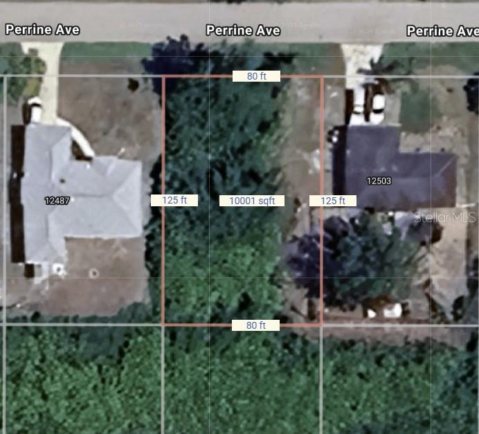 12495 PERRINE AVE, PORT CHARLOTTE, FL, 33981