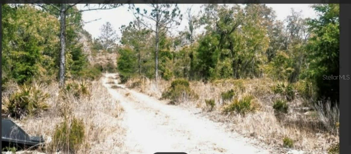 0000 NE 61ST LN, WILLISTON, FL, 32696