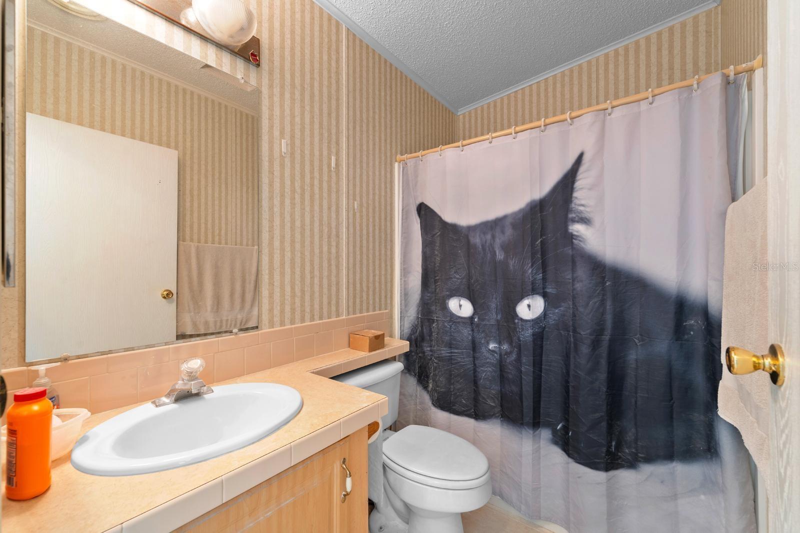 7537 OLD PASCO RD, WESLEY CHAPEL, FL, 33544