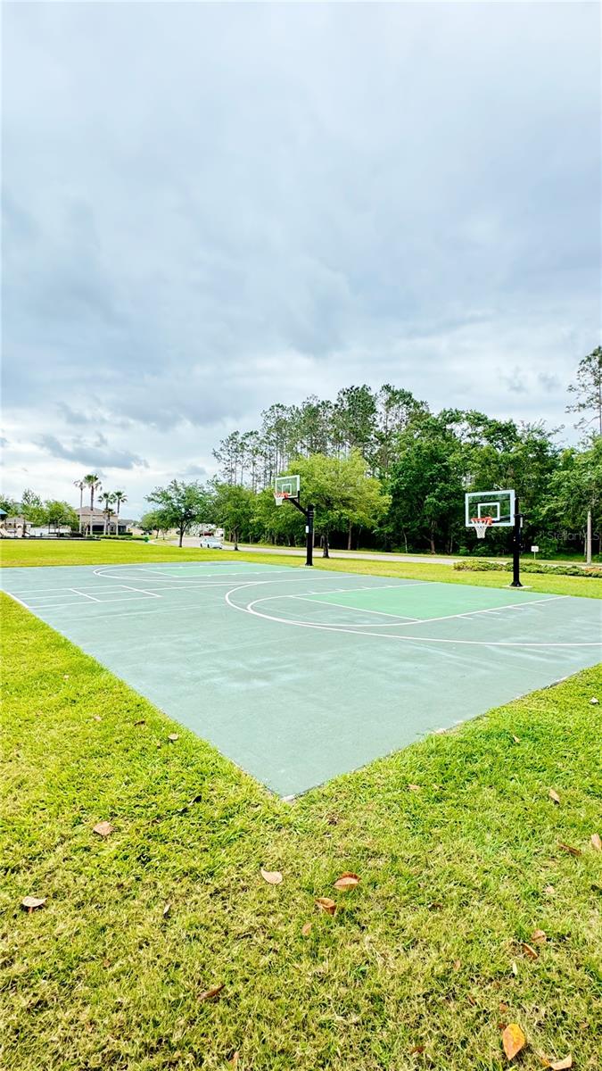 30639 CASEWELL PL, WESLEY CHAPEL, FL, 33545