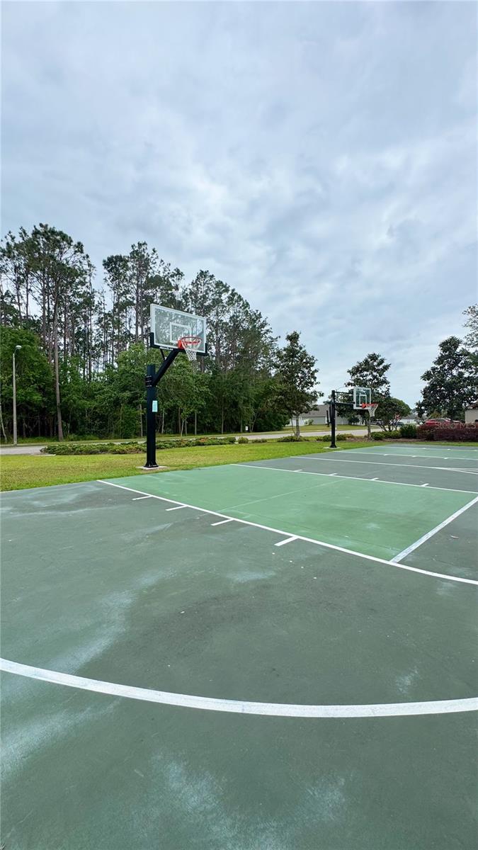 30639 CASEWELL PL, WESLEY CHAPEL, FL, 33545