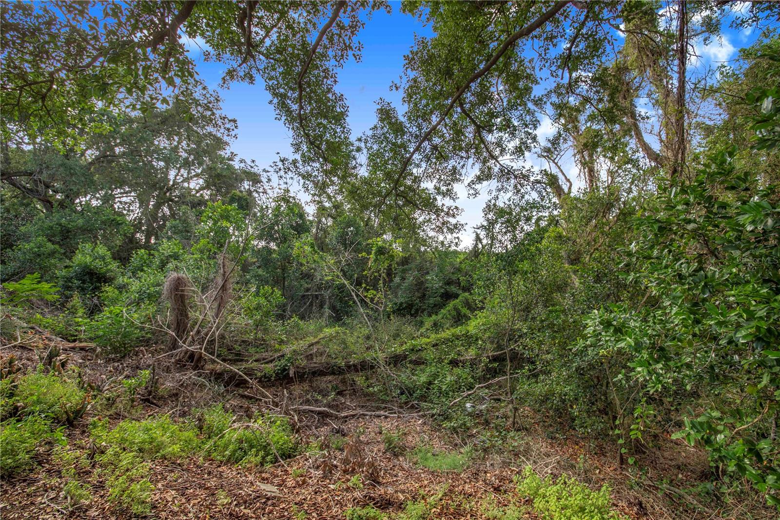 508 STARR RIDGE DR, LAKE WALES, FL, 33898