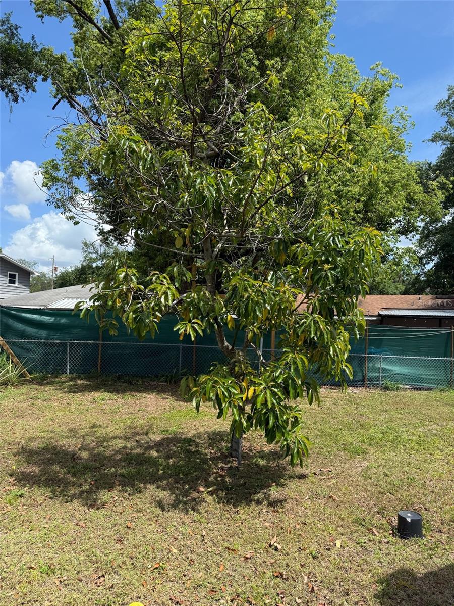 109 SEVILLE RD, AUBURNDALE, FL, 33823