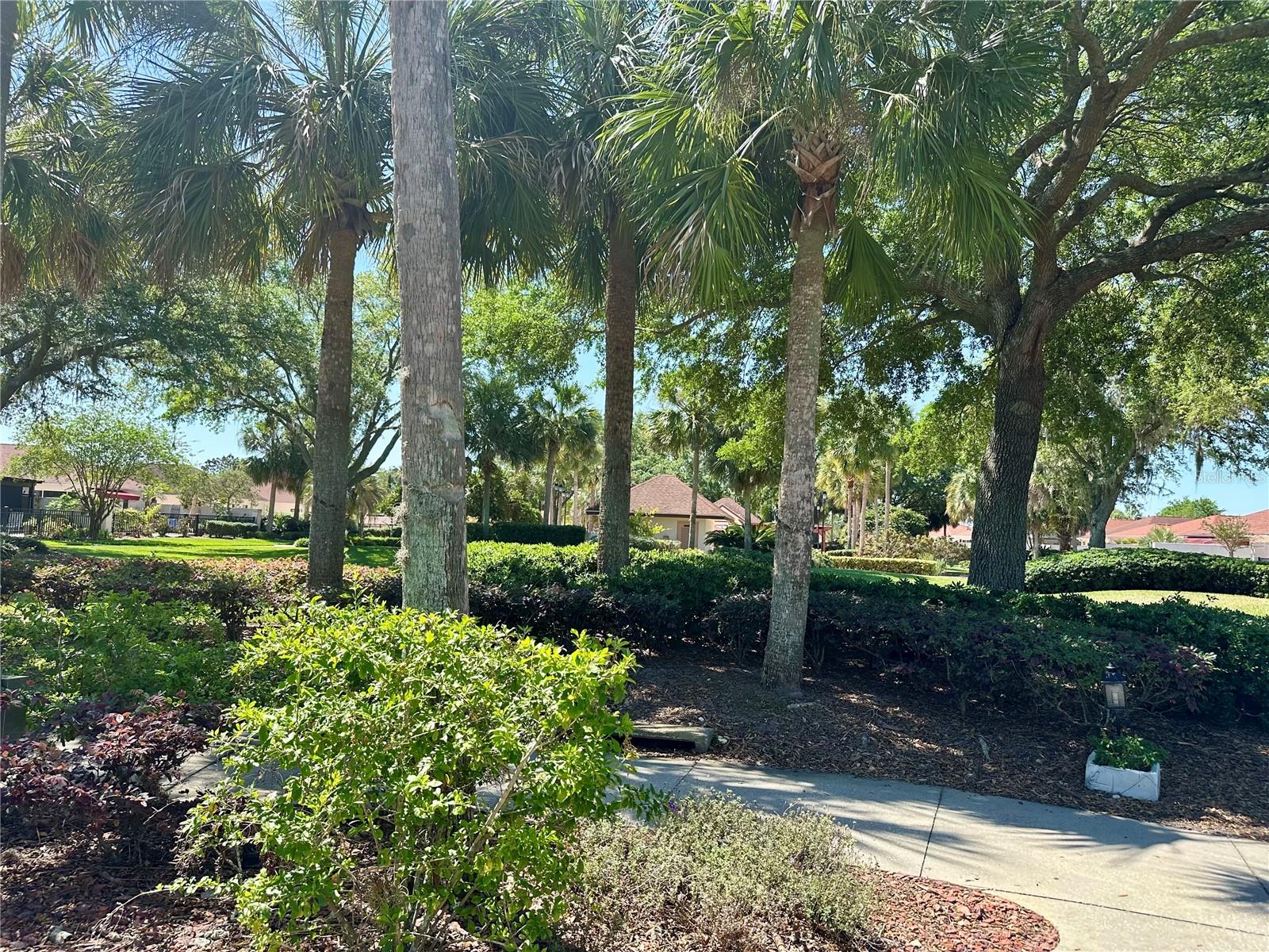 728 RAMIREZ AVE, THE VILLAGES, FL, 32159