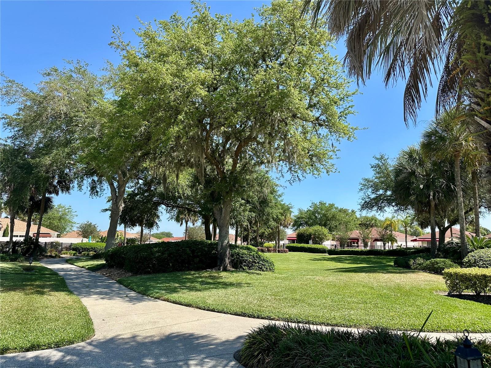 728 RAMIREZ AVE, THE VILLAGES, FL, 32159
