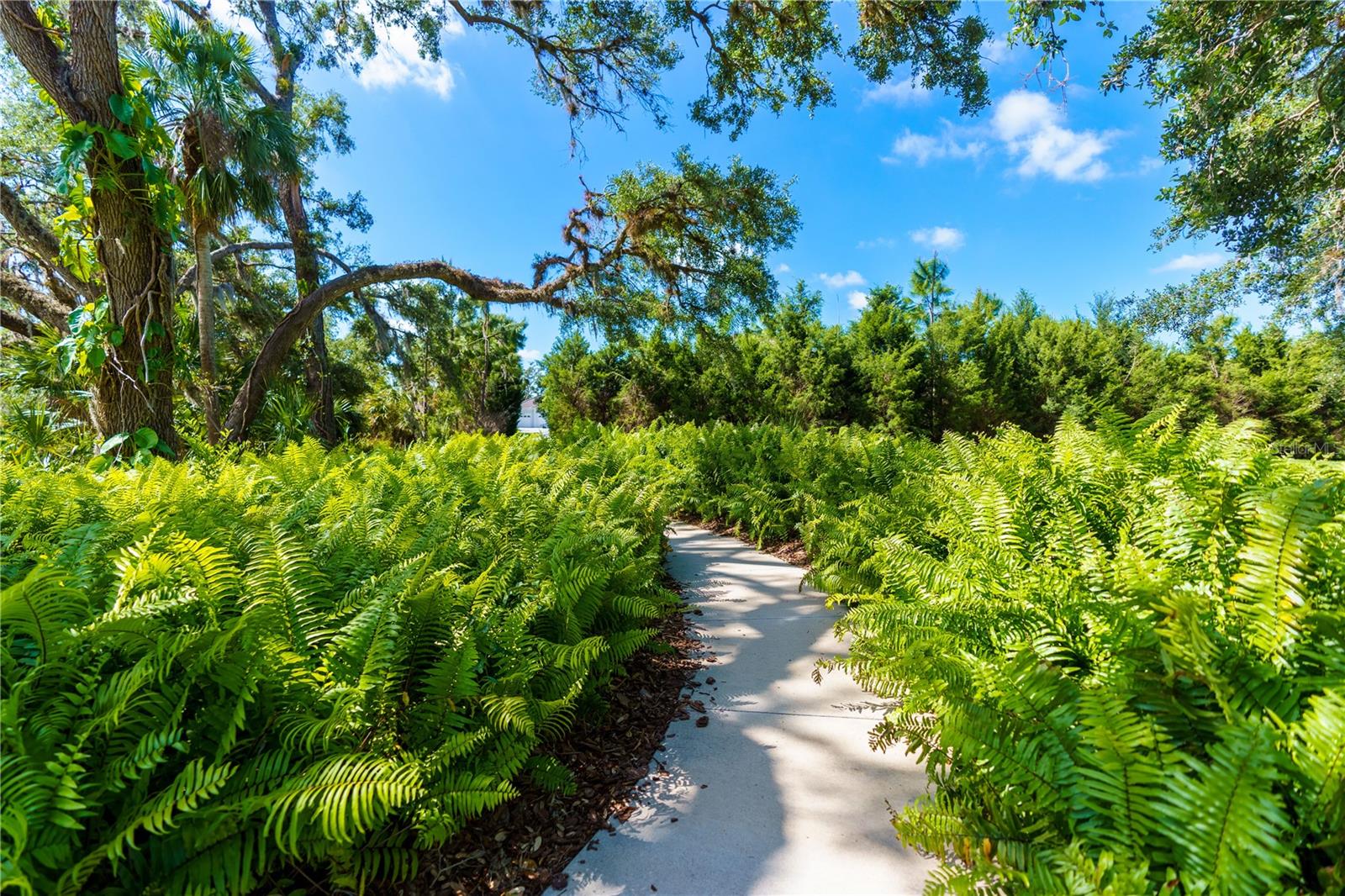 13017 STEINHATCHEE LOOP, VENICE, FL, 34293