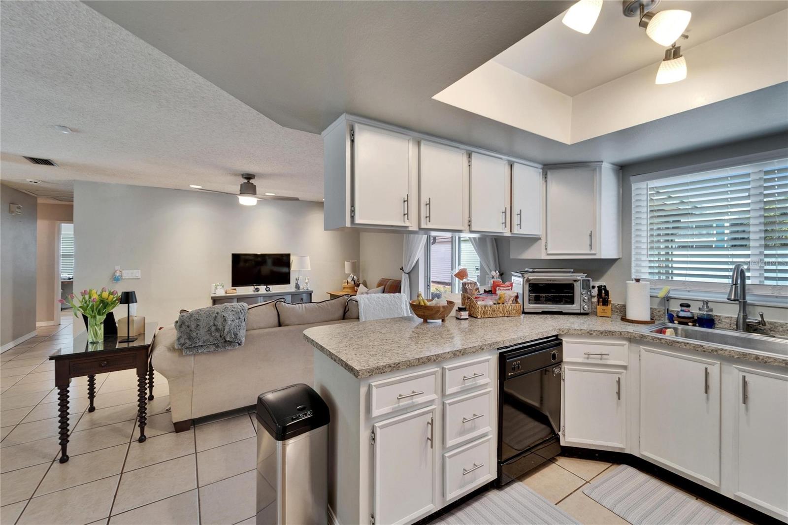 10717 DRUMMOND RD, TAMPA, FL, 33615