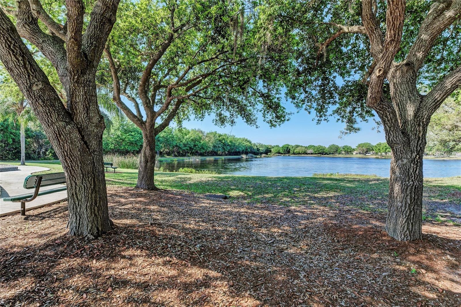 736 ROSEMARY CIR, BRADENTON, FL, 34212