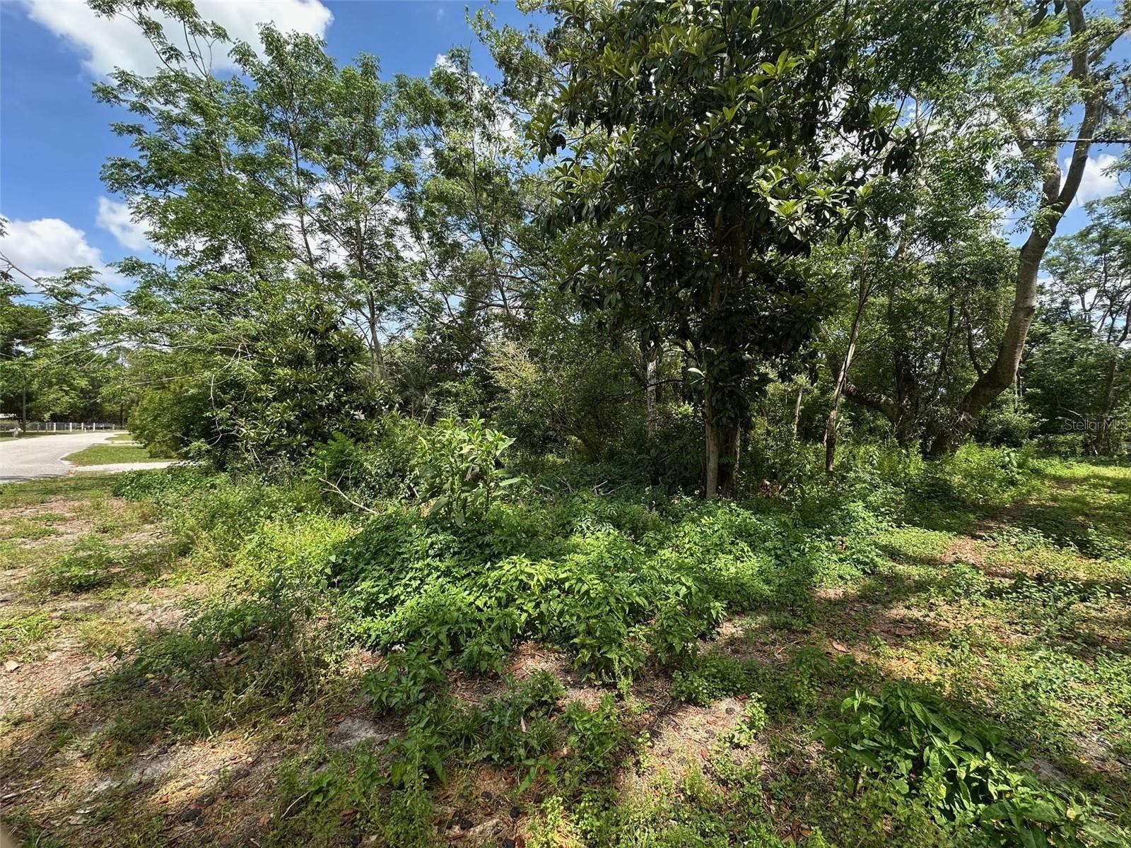 7541 GORDON LOOP, BROOKSVILLE, FL, 34601