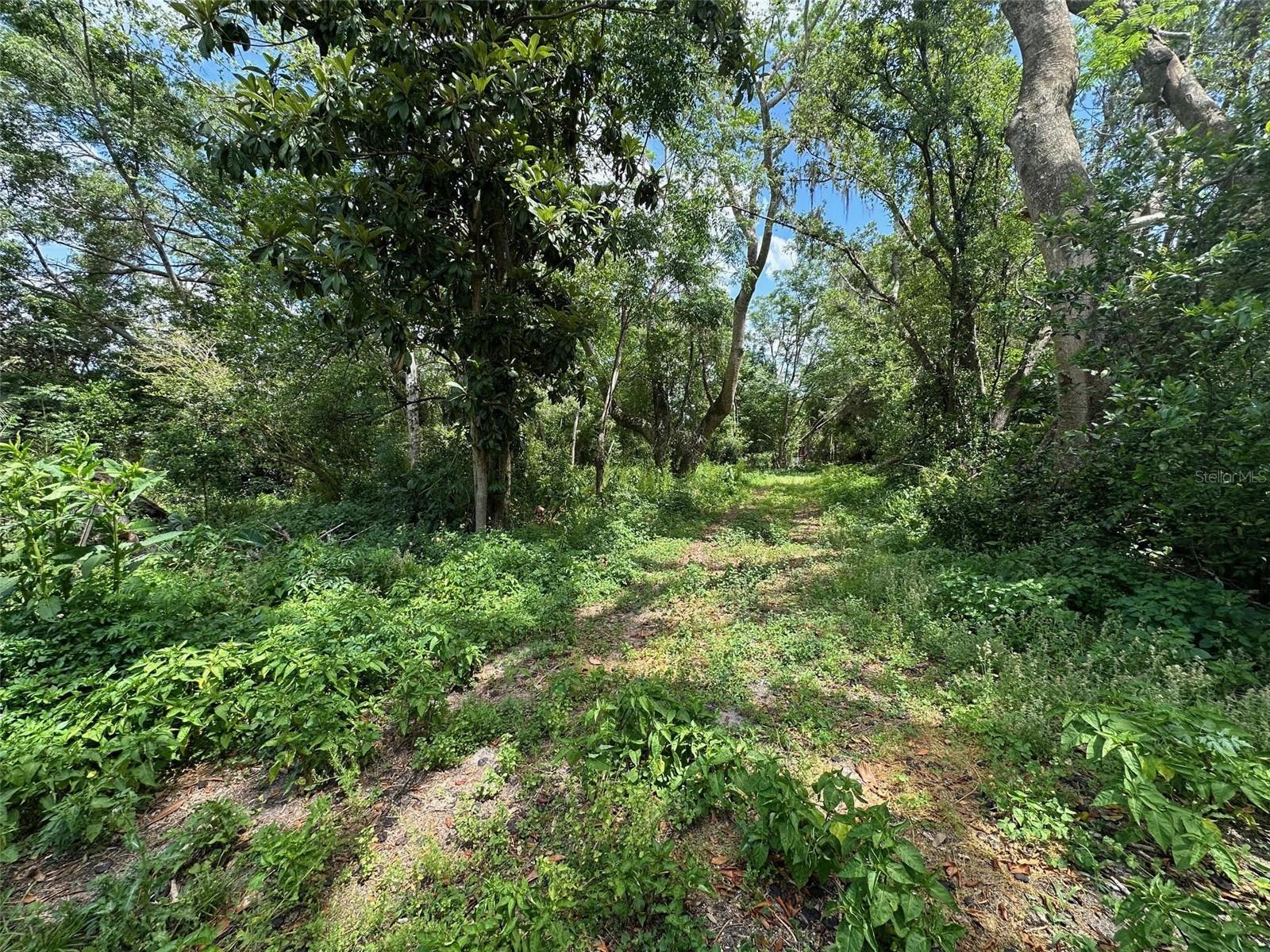 7541 GORDON LOOP, BROOKSVILLE, FL, 34601