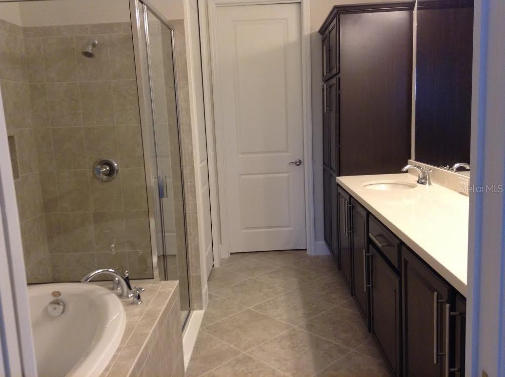 13876 MASKAWA AVE, ORLANDO, FL, 32827