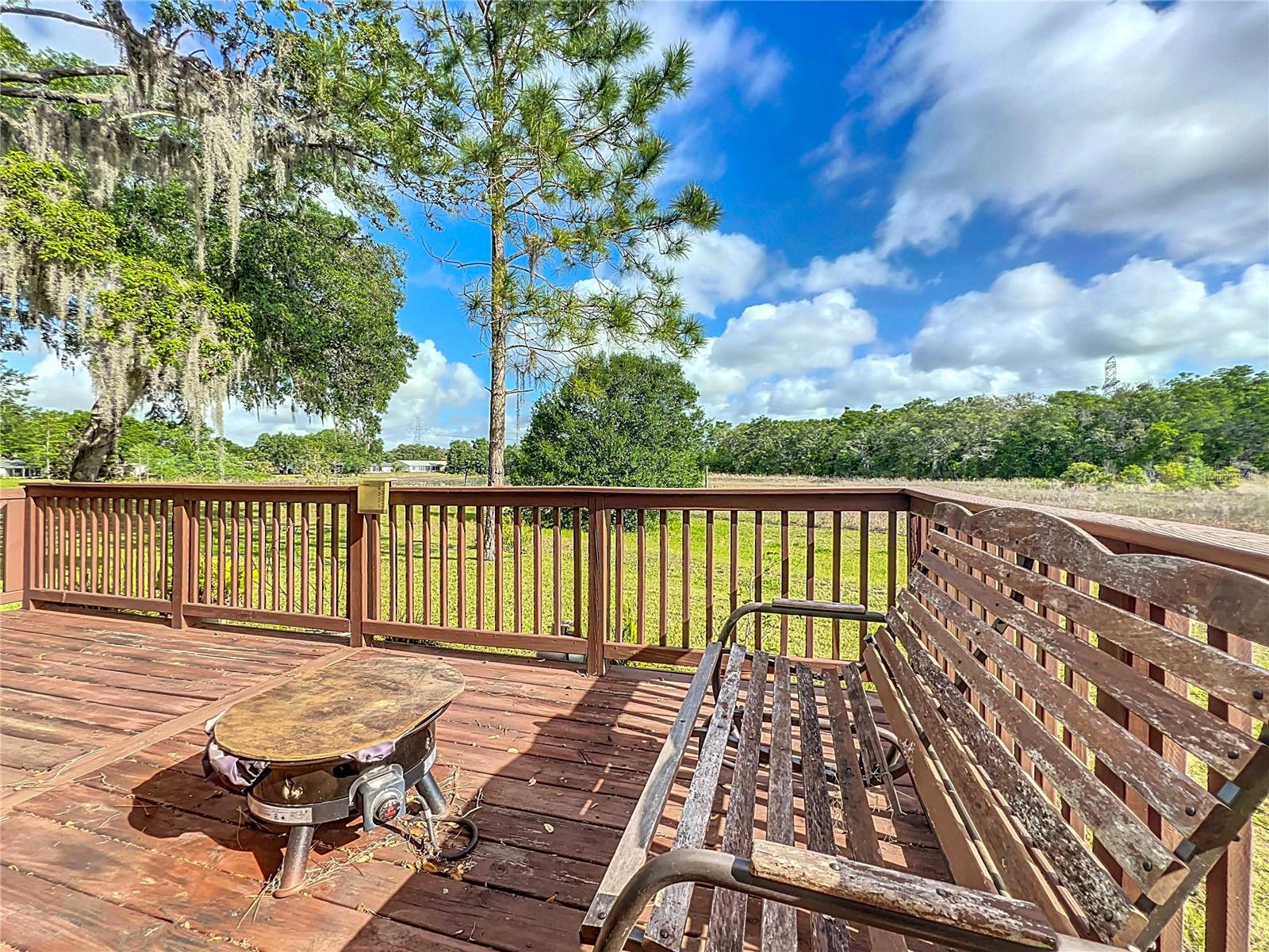 25540 BELLE HELENE, LEESBURG, FL, 34748