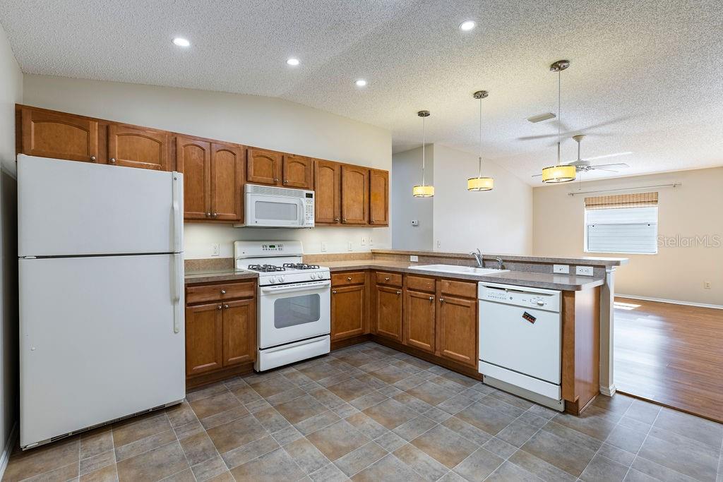 1667 OSPREY AVE, THE VILLAGES, FL, 32162