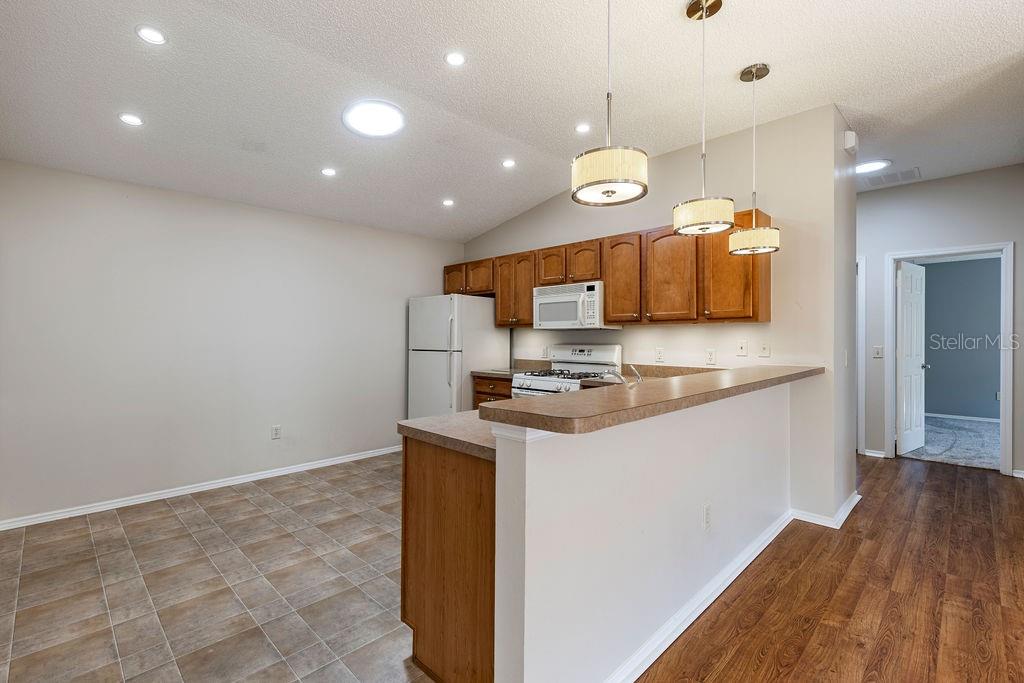 1667 OSPREY AVE, THE VILLAGES, FL, 32162