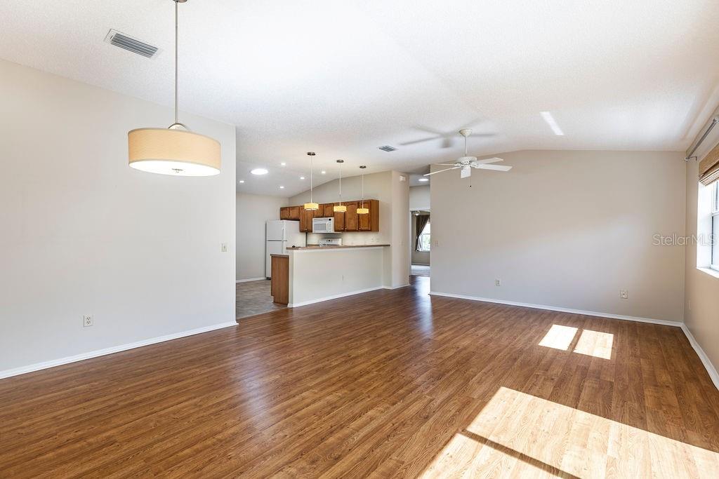1667 OSPREY AVE, THE VILLAGES, FL, 32162