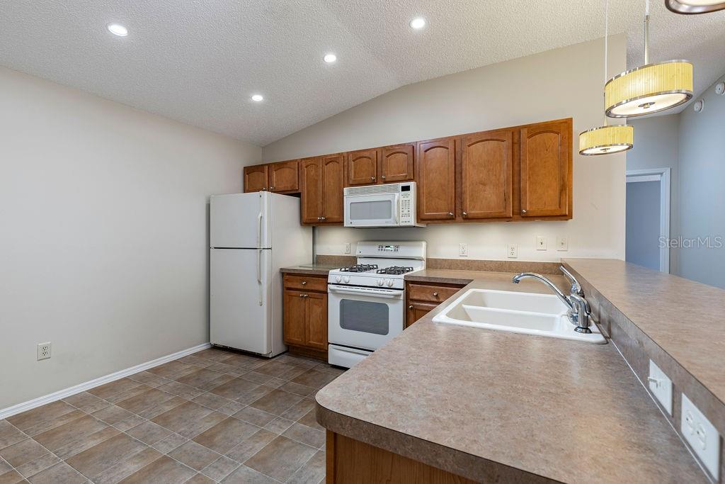 1667 OSPREY AVE, THE VILLAGES, FL, 32162